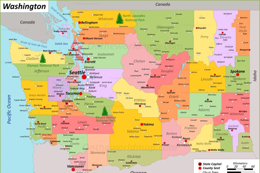 Professional Construction Estimating Services Near me in Washington